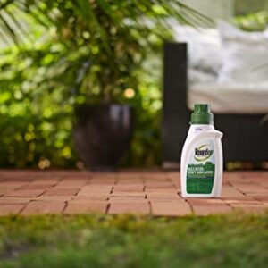 Roundup 5008410 Lawns 5 Concentrate, 32oz