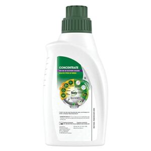 Roundup 5008410 Lawns 5 Concentrate, 32oz