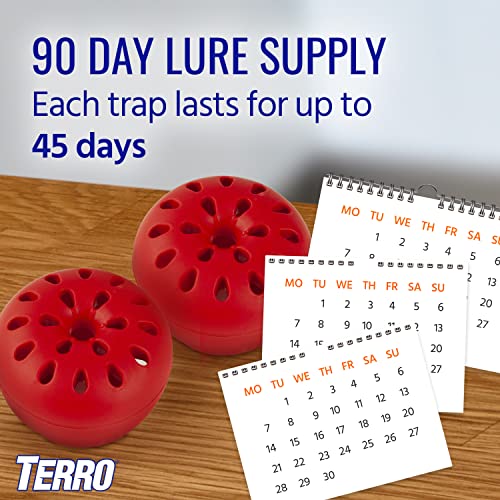 TERRO T2502 Ready-to-Use Indoor Fruit Fly Trap with Built in Window - 2 Traps + 90 day Lure Supply