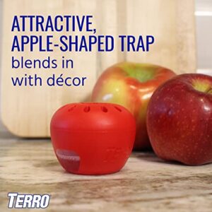 TERRO T2502 Ready-to-Use Indoor Fruit Fly Trap with Built in Window - 2 Traps + 90 day Lure Supply