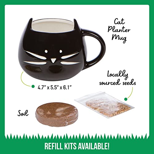 The Cat Ladies Organic Cat Grass Growing kit with Seed Mix, Soil and Black Cat Planter. Natural Hairball Control and Digestion Remedy for Cats