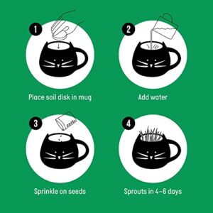 The Cat Ladies Organic Cat Grass Growing kit with Seed Mix, Soil and Black Cat Planter. Natural Hairball Control and Digestion Remedy for Cats