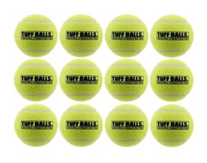 petsport tennis ball dog toys | 6 pack medium (2.5") pet safe non-toxic industrial strength felt & rubber tuff balls | play fetch, launch, chuck or toss at dog park