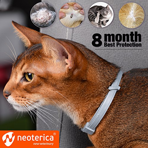 Natural Flea & Tick Collar for Cats - 6 Months Control of Best Prevention & Safe Treatment - Anti Fleas and Ticks Essential Oil Repellent (1 Pack)