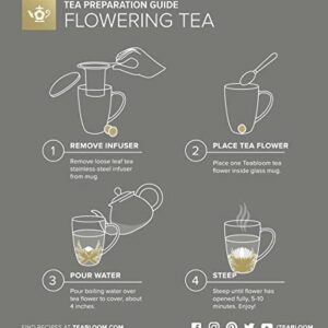 Teabloom Double-Wall Borosilicate Glass Mug with Stainless Steel Infuser and Lid – 15 OZ / 430 ML – 2 Gourmet Tea Flowers Included