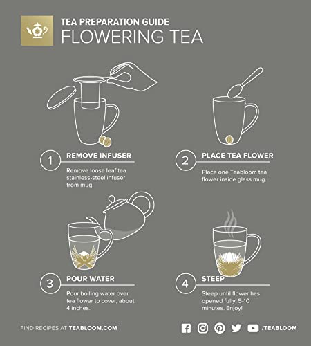 Teabloom Double-Wall Borosilicate Glass Mug with Stainless Steel Infuser and Lid – 15 OZ / 430 ML – 2 Gourmet Tea Flowers Included