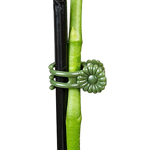 KINGLAKE Orchid Stem Clips,Medium Daisy Plant Clips, 100 Pcs Plant Support Clips Garden Flower Thick Plastic Vine Clips Dark Green (95230)