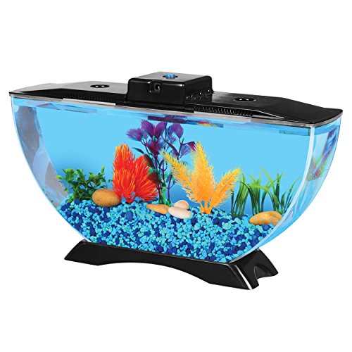 BettaTank 1-Gallon Deco Fish Tank with LED Lighting