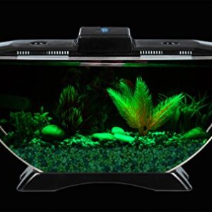 BettaTank 1-Gallon Deco Fish Tank with LED Lighting