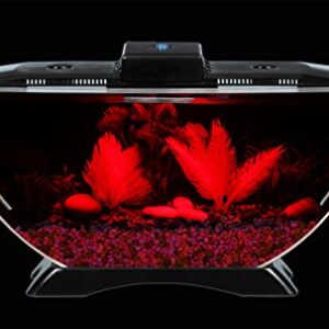 BettaTank 1-Gallon Deco Fish Tank with LED Lighting