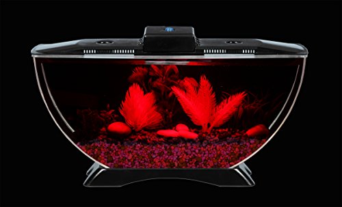 BettaTank 1-Gallon Deco Fish Tank with LED Lighting