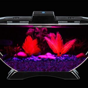 BettaTank 1-Gallon Deco Fish Tank with LED Lighting