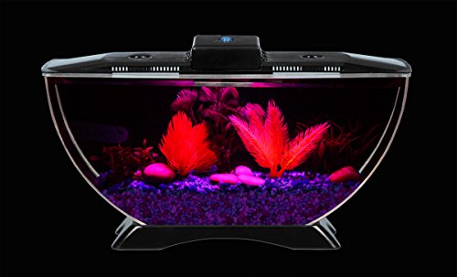 BettaTank 1-Gallon Deco Fish Tank with LED Lighting