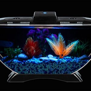 BettaTank 1-Gallon Deco Fish Tank with LED Lighting