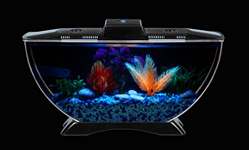 BettaTank 1-Gallon Deco Fish Tank with LED Lighting