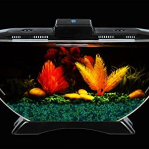 BettaTank 1-Gallon Deco Fish Tank with LED Lighting