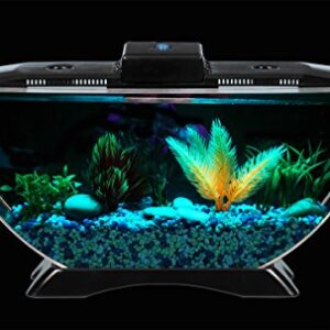 BettaTank 1-Gallon Deco Fish Tank with LED Lighting