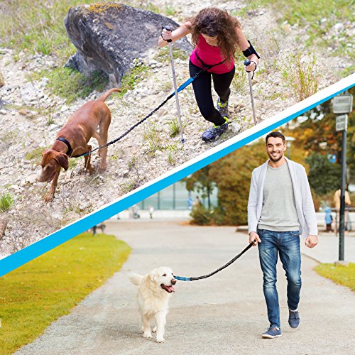 SparklyPets Hands Free Dog Leash for Medium and Large Dogs – Professional Harness with Reflective Stitches for Training, Walking, Jogging and Running Your Pet (Blue, for 1 Dog)