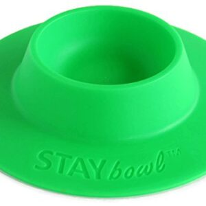 STAYbowl Tip-Proof Ergonomic Pet Bowl for Guinea Pig and Other Small Pets, 1/4-Cup Small Size, Spring Green