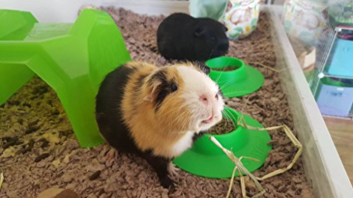 STAYbowl Tip-Proof Ergonomic Pet Bowl for Guinea Pig and Other Small Pets, 1/4-Cup Small Size, Spring Green