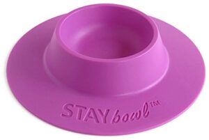 staybowl tip-proof ergonomic pet bowl for guinea pig and other small pets, 1/4-cup small size, lilac (purple)