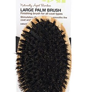 Pet Champion PTBBPLMBR All Natural Bristle Bamboo Palm Pet Brush, Large, Brown