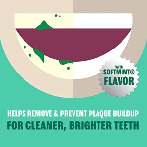 Plax Anti-Plaque Dental Rinse, Soft Mint - 24 Oz (Pack of 2)