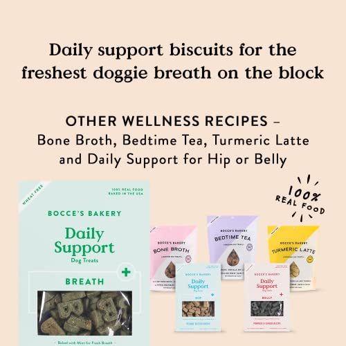 Bocce's Bakery Breath Daily Support Treats for Dogs, Wheat-Free Dog Treats, Made with Real Ingredients, Baked in The USA, Supports Oral Health, All-Natural Apple & Mint Biscuits, 12 oz