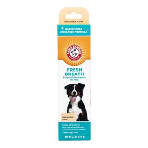 arm & hammer for pets clinical care dental enzymatic toothpaste for dogs | soothes inflamed gums | safe for puppies 1 pack fresh breath vanilla ginger