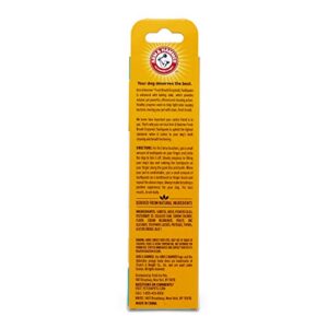 Arm & Hammer for Pets Clinical Care Dental Enzymatic Toothpaste for Dogs | Soothes Inflamed Gums | Safe for Puppies 1 Pack Fresh Breath Vanilla Ginger