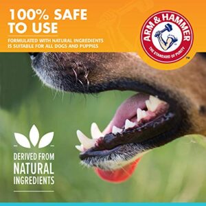 Arm & Hammer for Pets Clinical Care Dental Enzymatic Toothpaste for Dogs | Soothes Inflamed Gums | Safe for Puppies 1 Pack Fresh Breath Vanilla Ginger