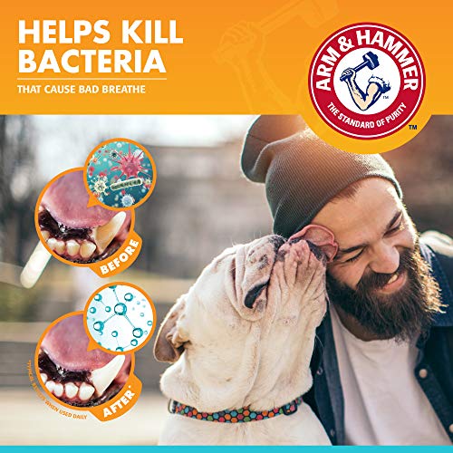 Arm & Hammer for Pets Clinical Care Dental Enzymatic Toothpaste for Dogs | Soothes Inflamed Gums | Safe for Puppies 1 Pack Fresh Breath Vanilla Ginger