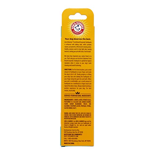 Arm & Hammer for Pets Clinical Care Dental Enzymatic Toothpaste for Dogs | Soothes Inflamed Gums | Safe for Puppies 1 Pack Fresh Breath Vanilla Ginger