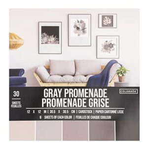 colorbok - 71880a smooth cardstock paper pad, 12" x 12", gray promenage