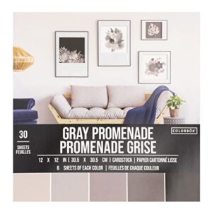 Colorbok - 71880A Smooth Cardstock Paper Pad, 12" x 12", Gray Promenage