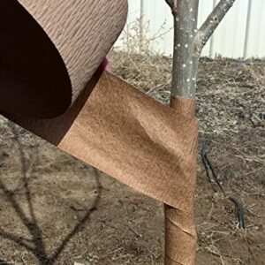 HORT Paper Tree Wrap 3" x 50' roll, Commercial Grade