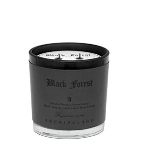 archipelago botanicals black forest letter press candle | dark ebony wood, douglas fir and black currant | clean soy wax blend burns 100 hours (13 oz)