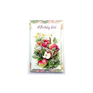 50 Assorted Everyday All Occasion 5 by 7 Greeting Cards with Envelopes, 34 Birthday, 4 Sympathy, 4 Blank, 2 Thank You, 2 Get Well, 2 Thinking of You, and 2 Anniversary Congratulations