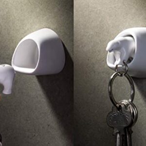 Polar Bear Wall Key Holder by Qualy Design Studio. White Color. Cool Home Design Item. Unusual Gift.