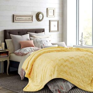 Chanasya Soft Wave Faux Fur Throw Blanket - Soft, Lightweight Reversible Sherpa & Minky Blanket - 50" x 65” - Yellow