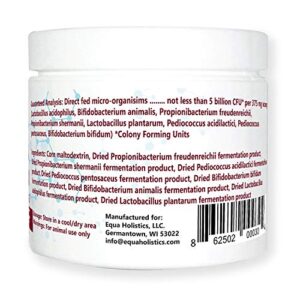 HealthyGut™ Avian Probiotics Dietary Supplement for Parrots, All-Natural Digestive System Formula (120 Servings)