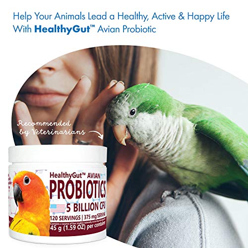 HealthyGut™ Avian Probiotics Dietary Supplement for Parrots, All-Natural Digestive System Formula (120 Servings)