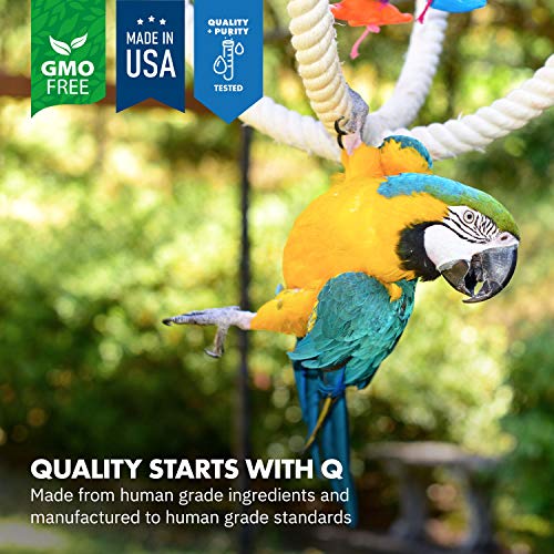 HealthyGut™ Avian Probiotics Dietary Supplement for Parrots, All-Natural Digestive System Formula (120 Servings)