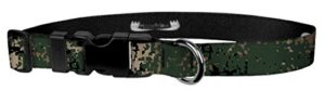 moose pet wear dog collar - patterned adjustable pet collars, made in the usa – 3/4 inch wide, small, jarhead camo