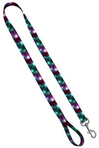 moose pet wear deluxe dog leash - patterned heavy duty pet leashes, made in the usa - 1 inch x 6 feet, cosmic ray