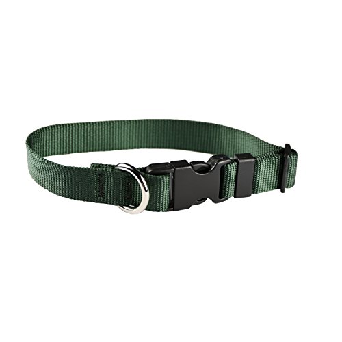 Moose Pet Wear Classic Dog Collar – Adjustable Pet Collars, Made in the USA – 3/4 Inch Wide, Small, Forest Green