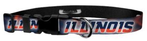 moose pet wear racing dog collar – university of illinois adjustable pet collars, made in the usa – 1" wide, large, smoke