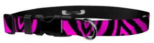 moose pet wear dog collar - patterned adjustable pet collars, made in the usa - 3/4 inch wide, medium, zebra pink