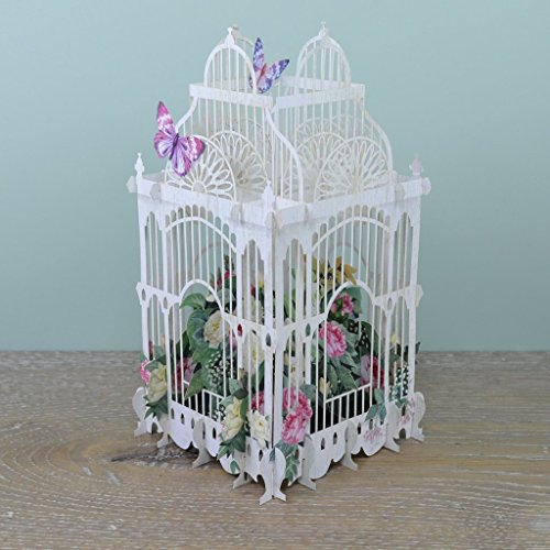 Paper d'Art Flower Cage 3D Pop Up Greeting Card