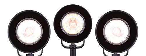 CANARM ICW622A03ORB10 LTD Polo 3 Light Ceiling/Wall, Oil Rubbed Bronze with Adjustable Heads